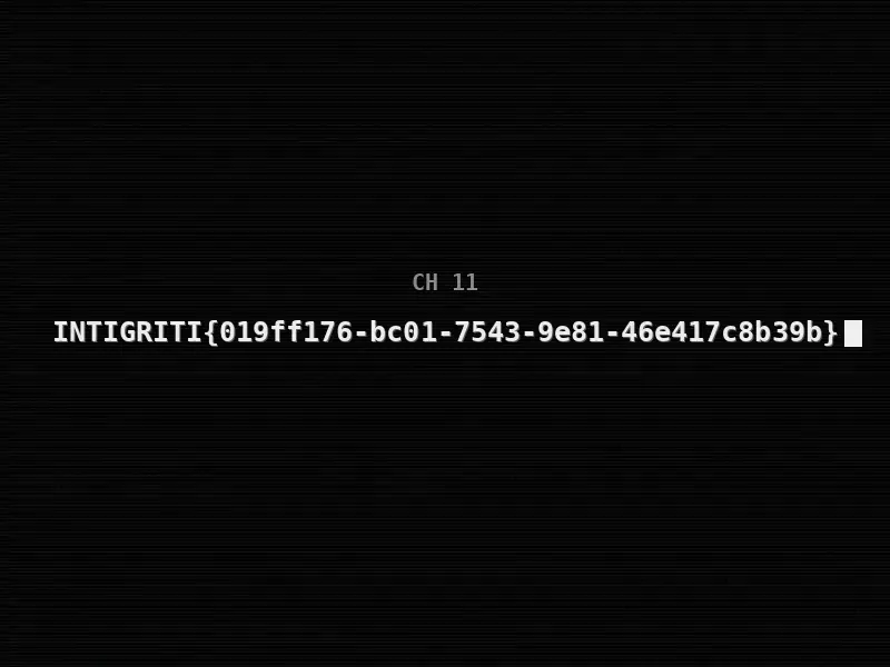 Channel 11 video frame displaying the Intigriti flag